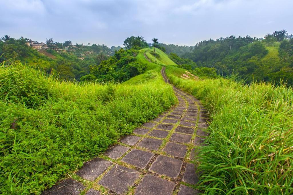 Casa Ganesha Hotel Ubud Exteriér fotografie