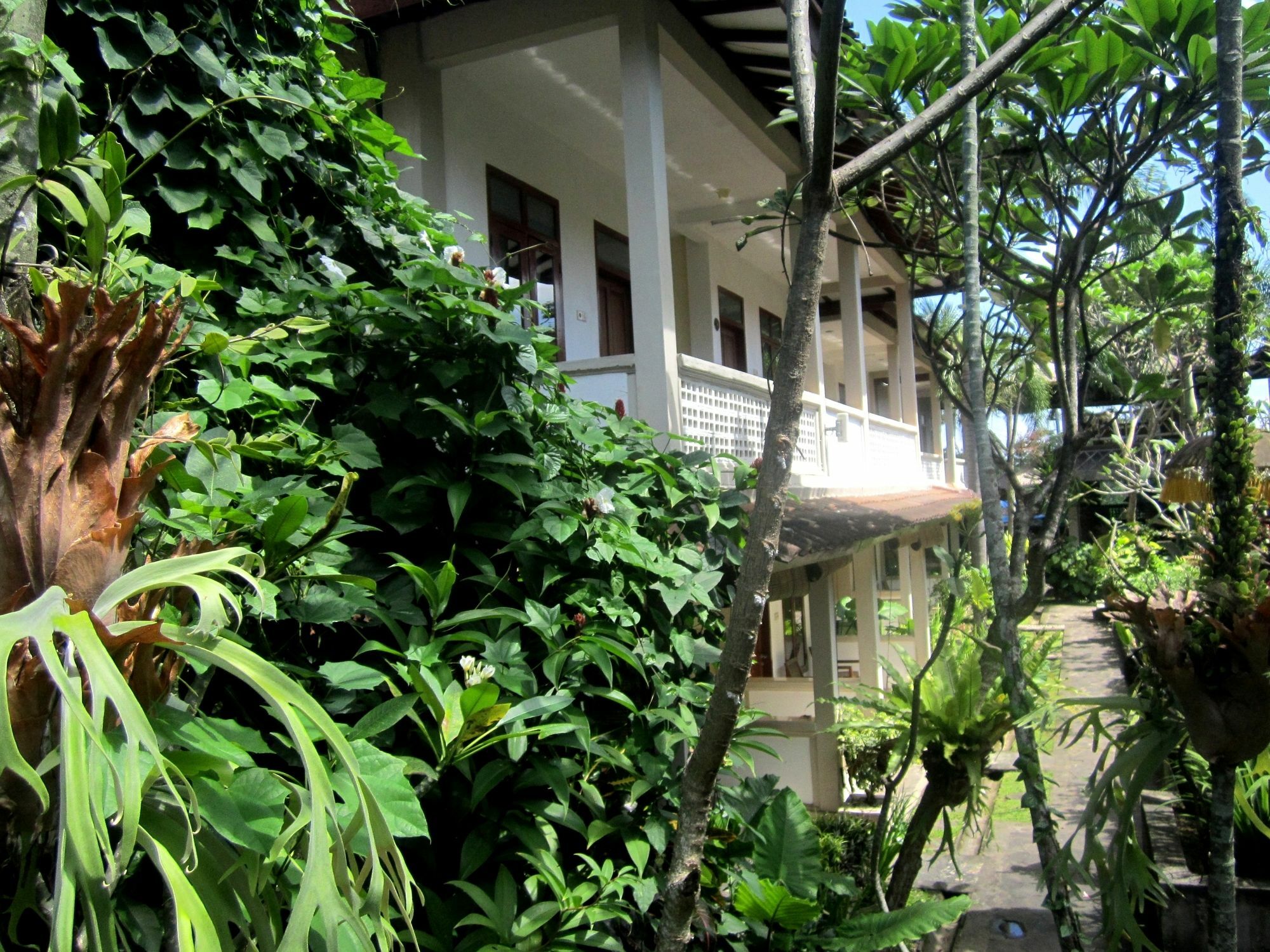 Casa Ganesha Hotel Ubud Exteriér fotografie